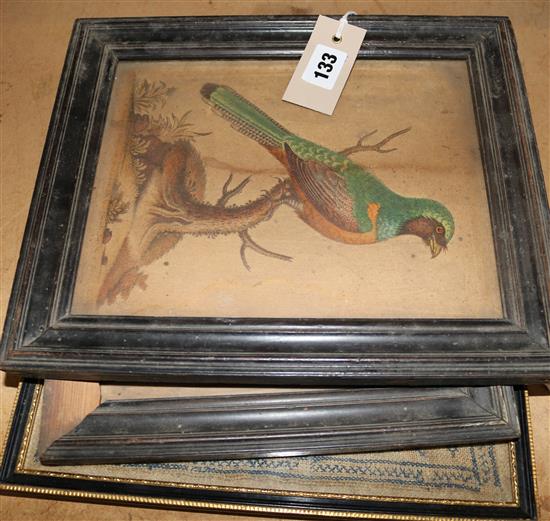 1853 sampler, pair of 19C ornithological prints, a presentation trowel in fitted carved box & a small trowel (both Ceylon-related)